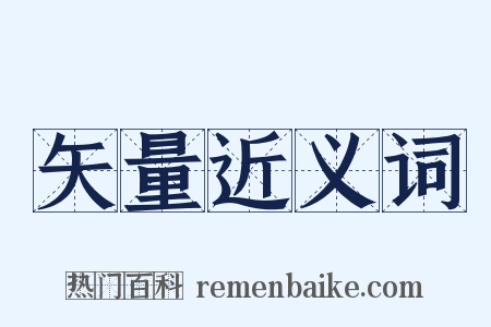 矢量近义词是什么意思的图片